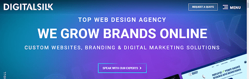 Header of the Digital Silk website, proclaiming 'Top Web Design Agency - We Grow Brands Online' with services in custom websites, branding, and digital marketing solutions.